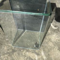 Starter Fish Tank 5 Gallon