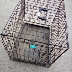 Dog Kennel 