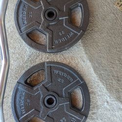 Weider Iron Weights And Curl Bar