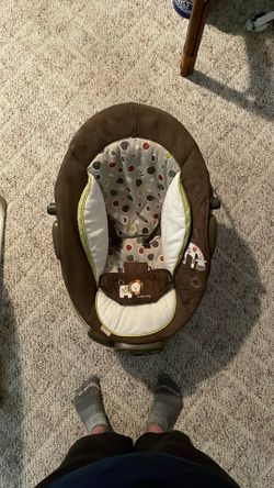 Baby Bouncer
