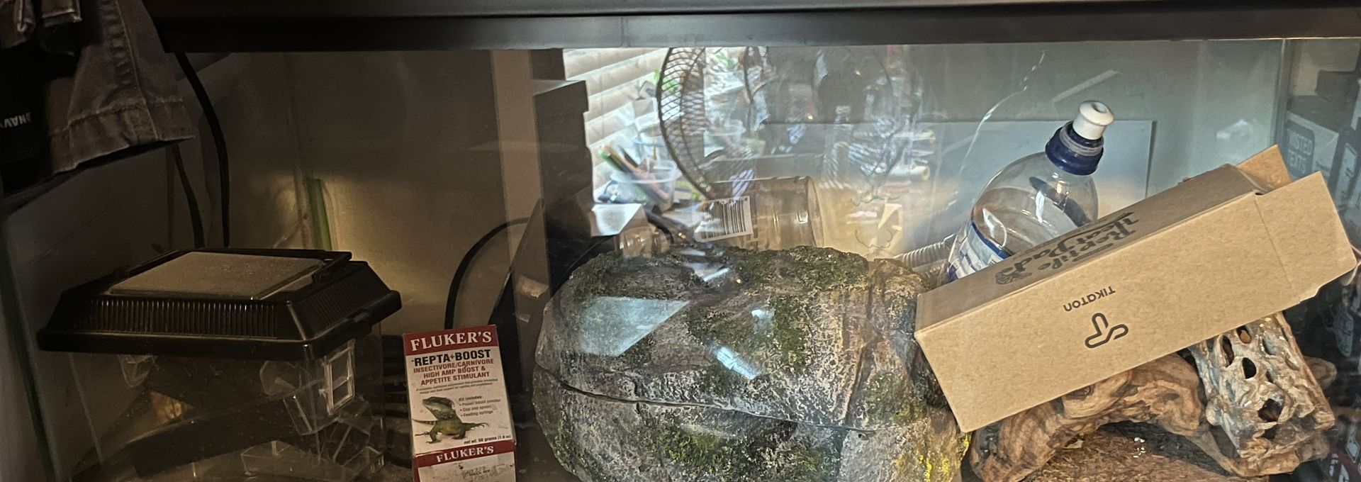 Lizard Terrarium