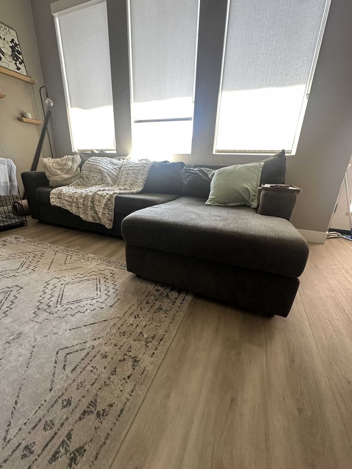 Grey couch