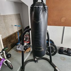 Everlast Punching Bag and Stand 
