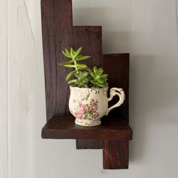 wall shelf with succulents