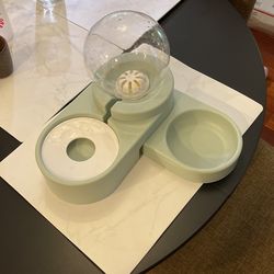 Water And Food Bowl For Dogs Or Cats