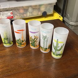 1950’s Blakey Oil Frosted Glasses (12) $80