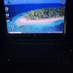 Hp Laptop 