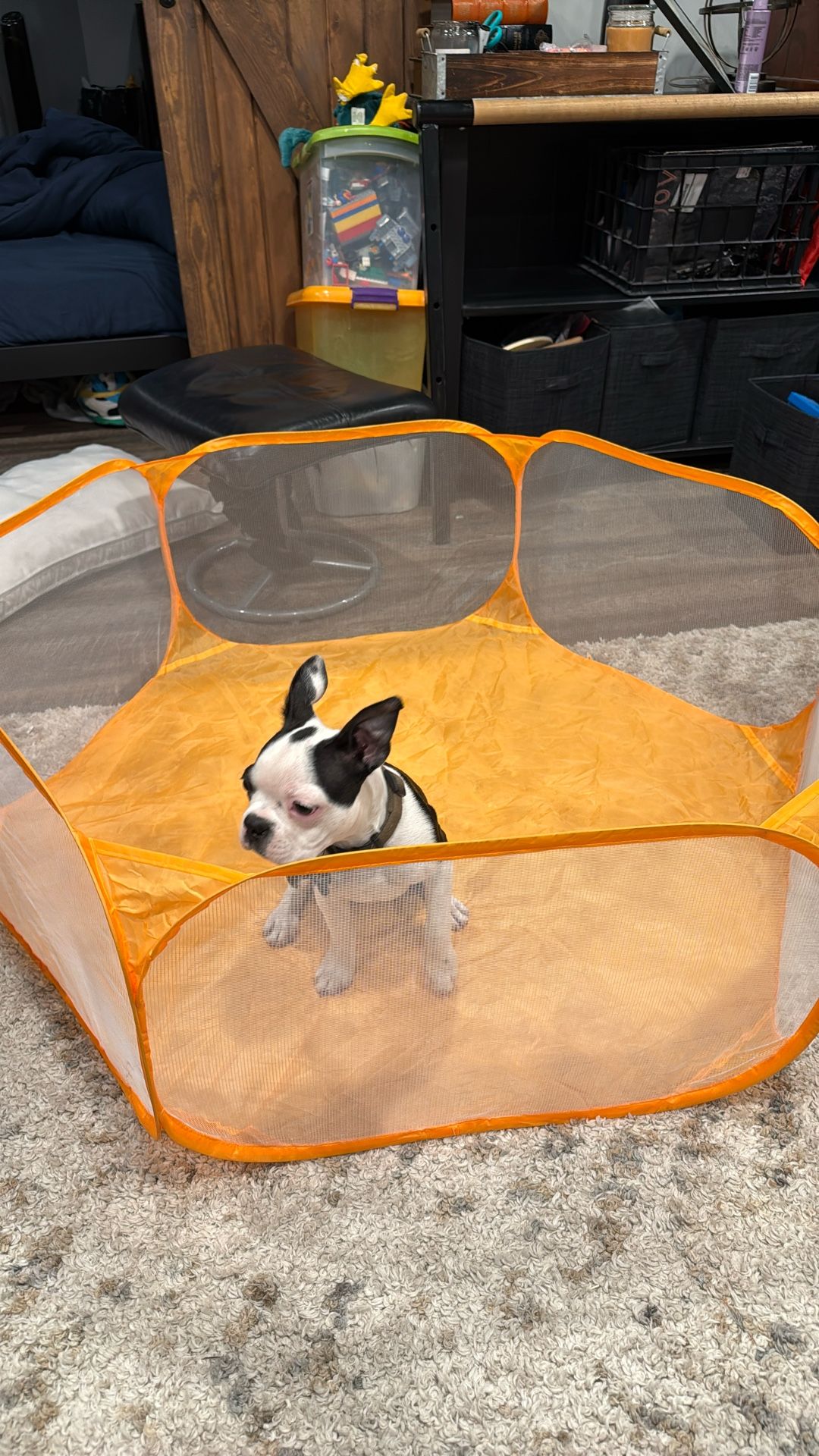 Compact Storage Play Pen Puppy/mouse/hamster/rat