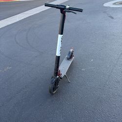 Gotrax Scooter 