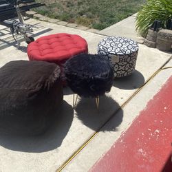 Various Ottomans