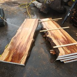 Live edge spalted maple, 6 ,7 In Two Thick.