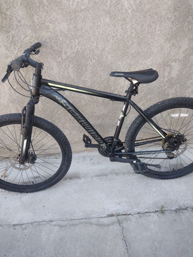 Schwinn Bicycle