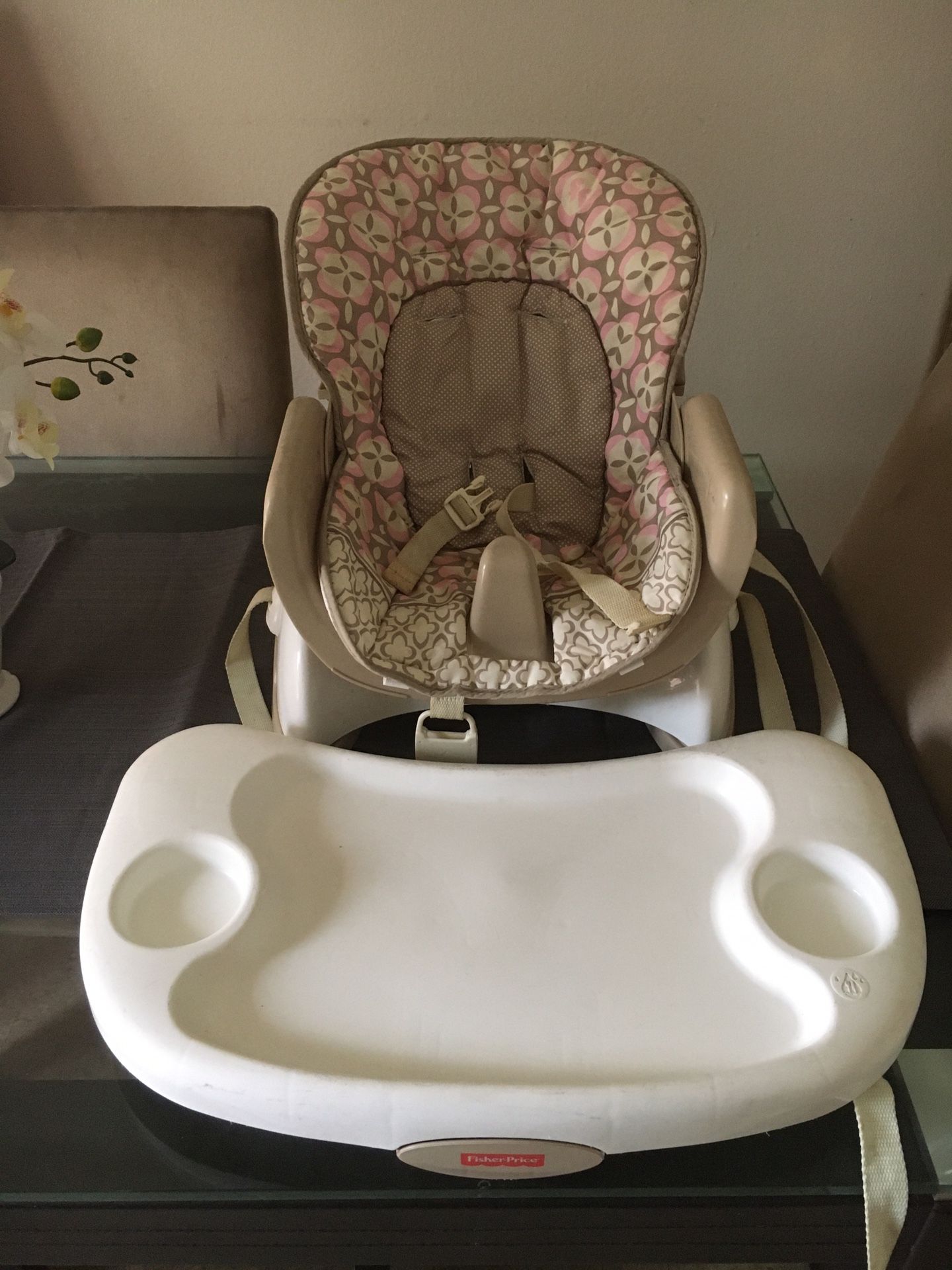 Fisher-Price Baby booster/high chair