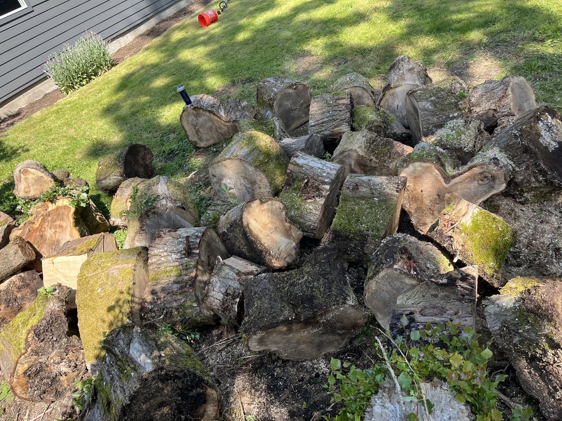 Free Wood With Vehicle Access