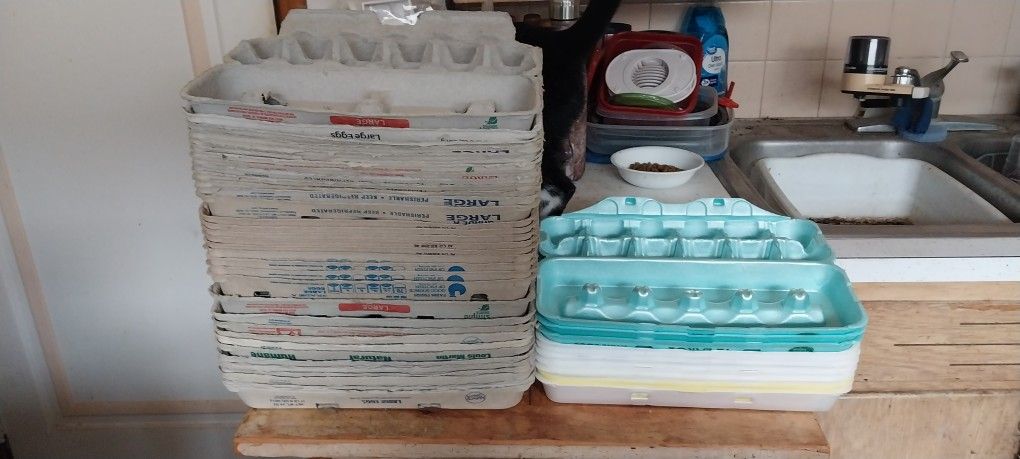 Egg Cartons