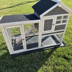 Guinea pig house