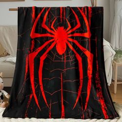 Spider Man Set With Bag Car Gloves And Blanket