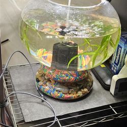 Circle Fish Tank