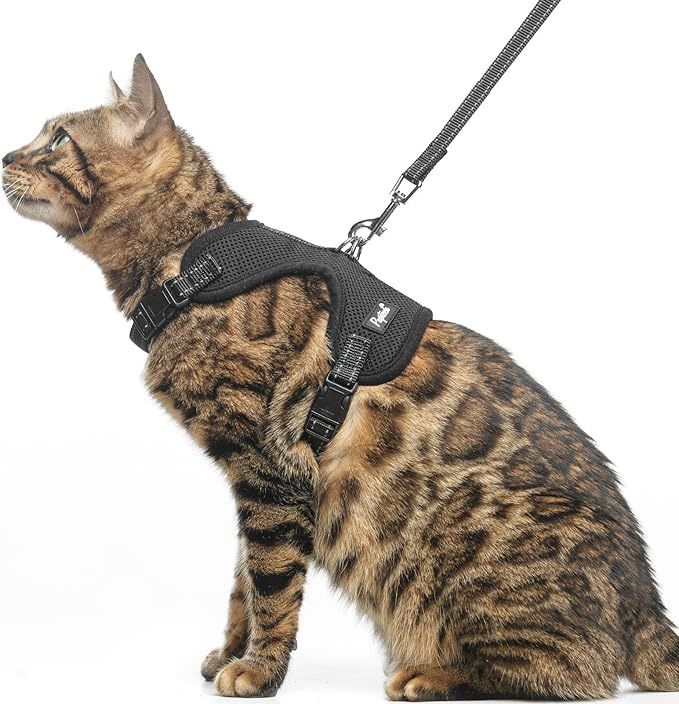 PUPTECK Cat Harness and Leash Set Escape Proof