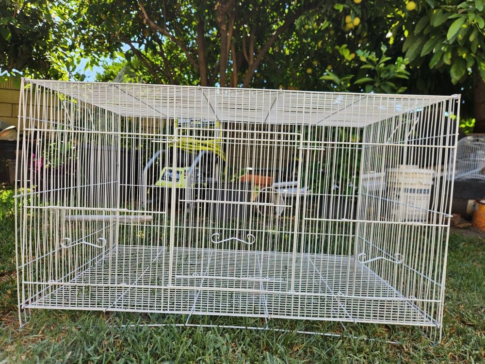 Bird Cage