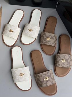 Women’s coach sandal