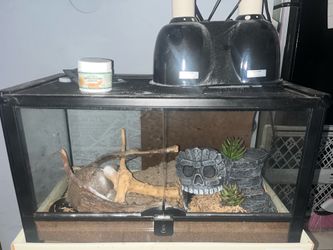 Terrarium