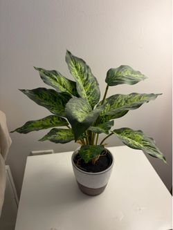 Artificial plants