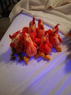 Rooster Zodiac And Strut The Roosters 