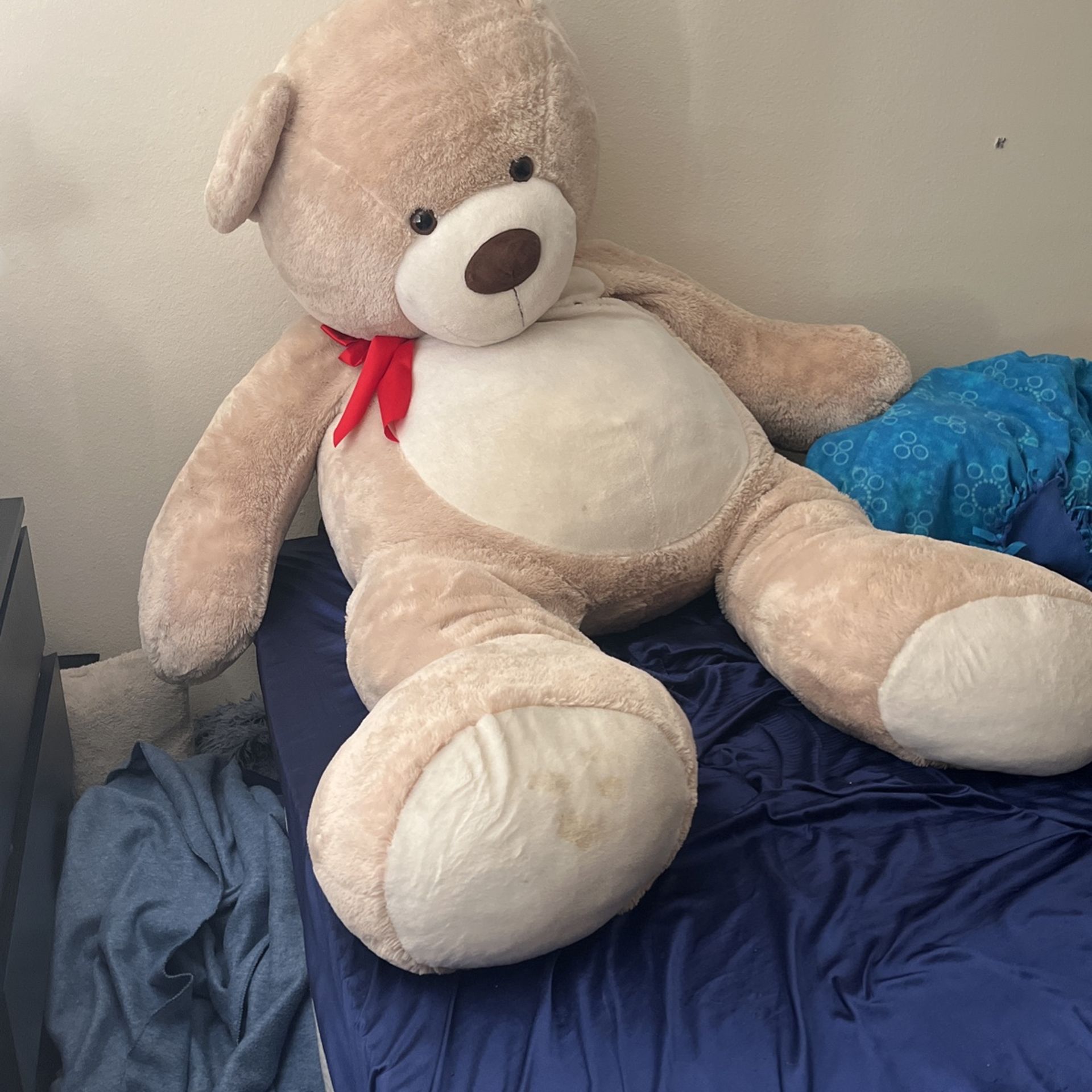 Giant Teddy Bear