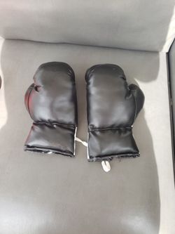 Youth Boxing Gloves