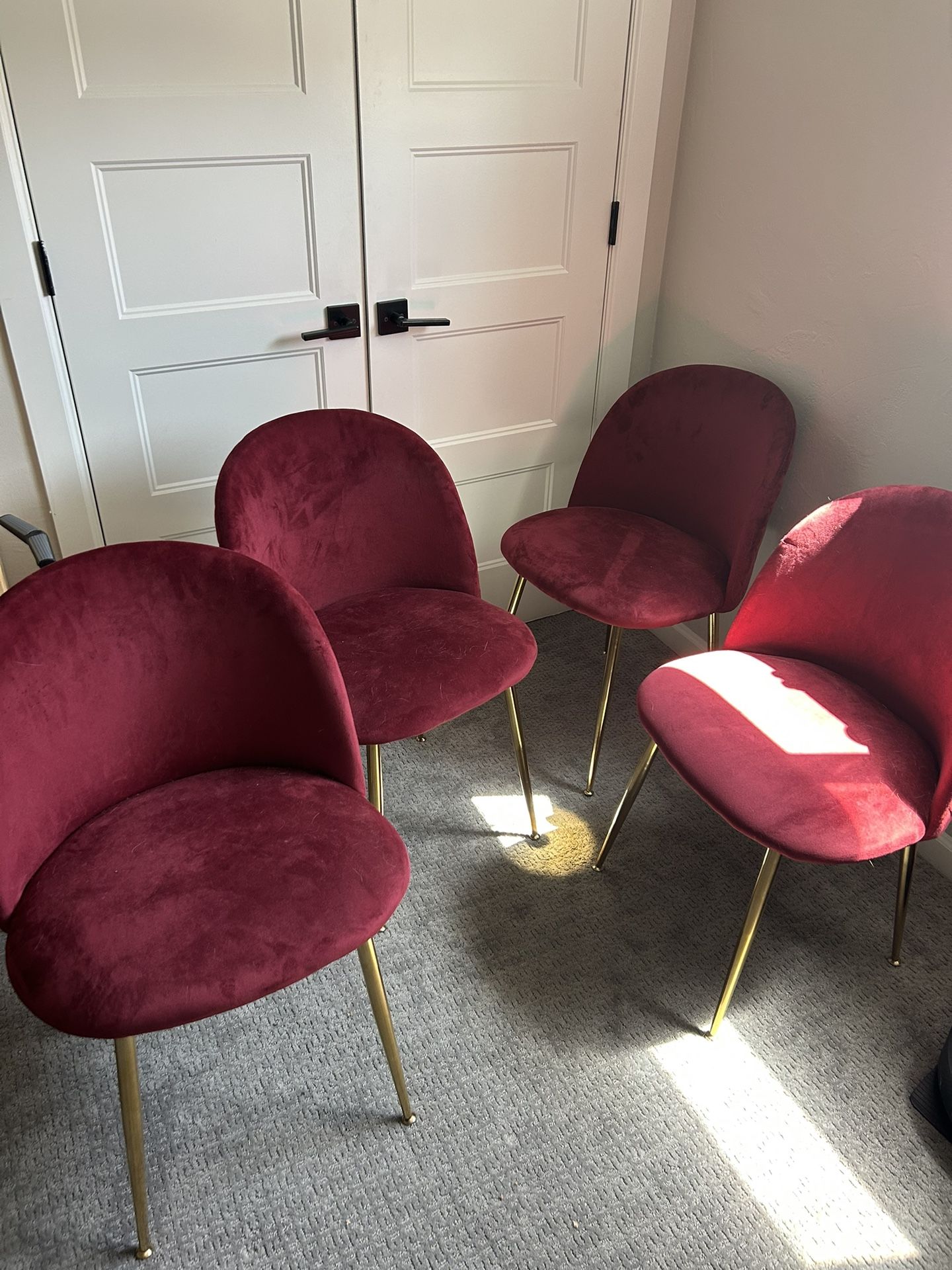 Dining Table Chairs