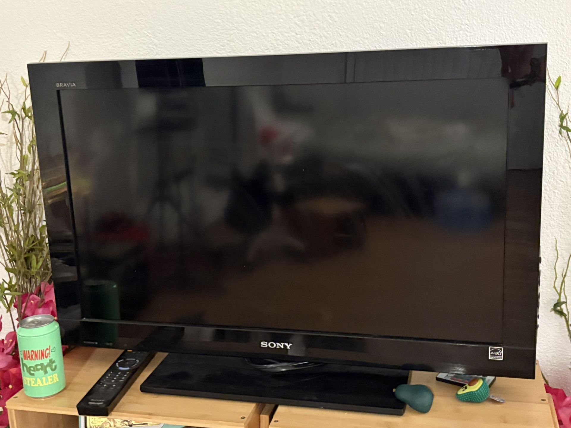 Sony TV Bravia