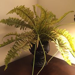 Faux Green Plant
