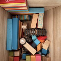 Tegu Magnetic Blocks 