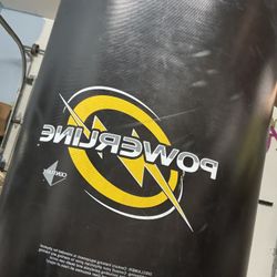 Standing Punching Bag 