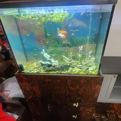 50 gallon Fish tank with stand