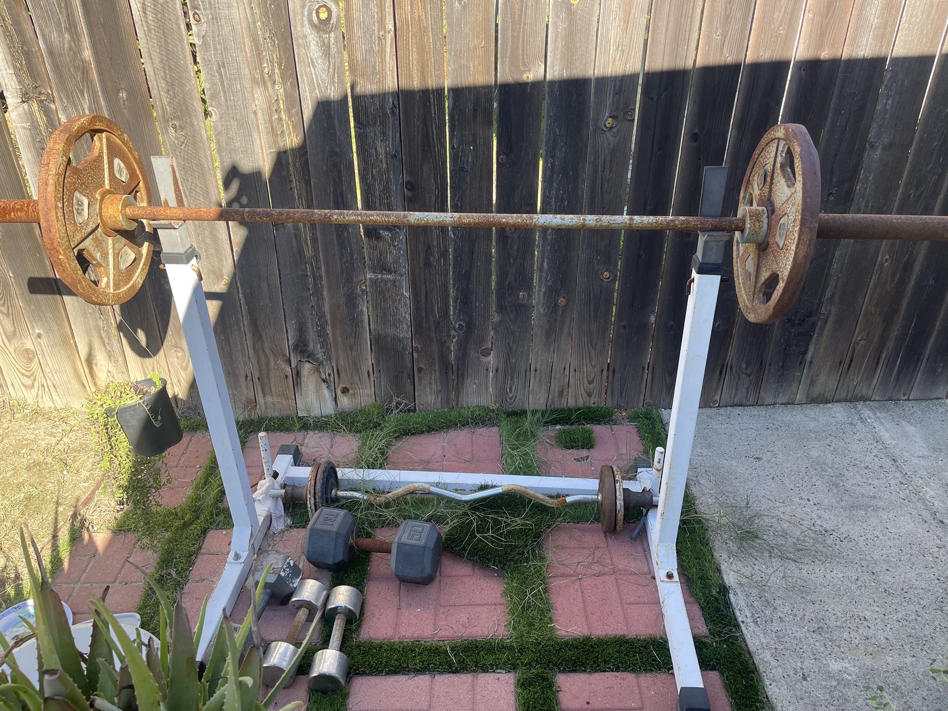 Weights/Workout equipment +Squat rack