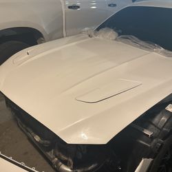 Mustang Hood