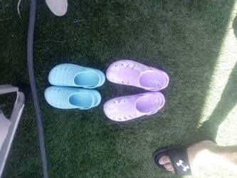 Shark 10$ For Each Pair