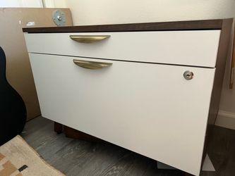Large Filing Cabinet- mid century modern style