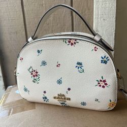 Purse Handbang