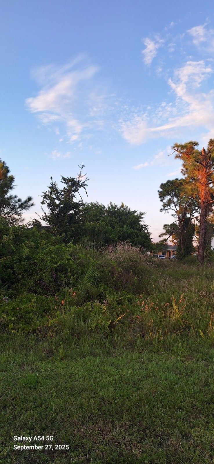 Land For Sale, Vacant Land, Lot In, 2606 7th St SW, Lehigh Acres, FL 33976