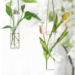 Ivolador 2 PCS Cylinder Hanging Glass Flower Planter Vase Terrarium Container