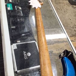 Sting Ray 5 Bass Guitar 