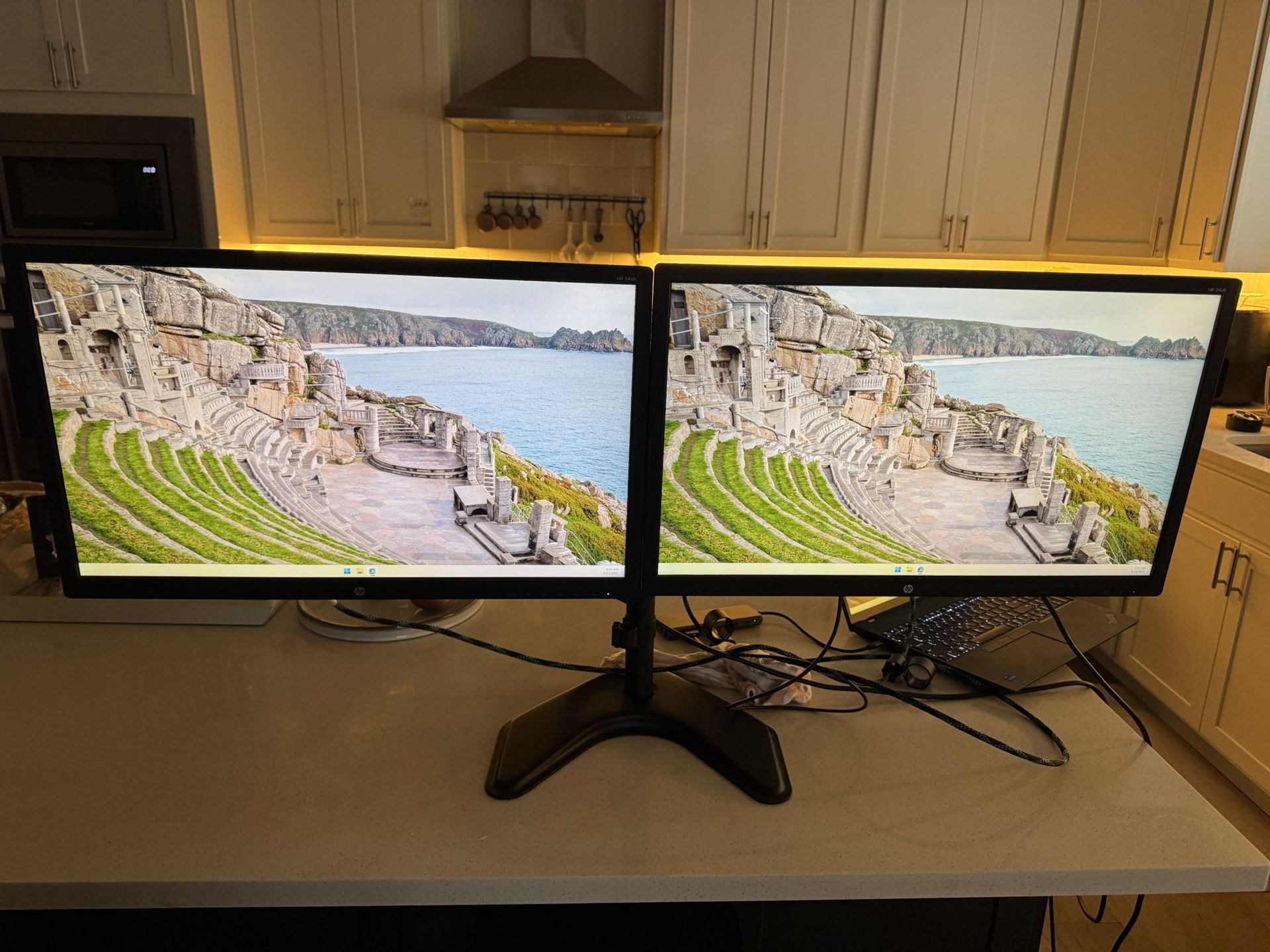 HP 24″ Full HD IPS Dual Monitors on Fully Adjustable Dual-Arm Stand