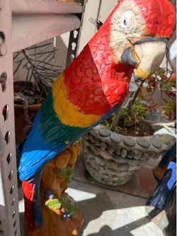 Decoration parrots 🦜