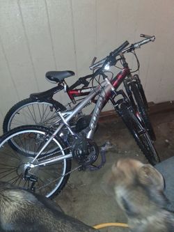 Both bikes