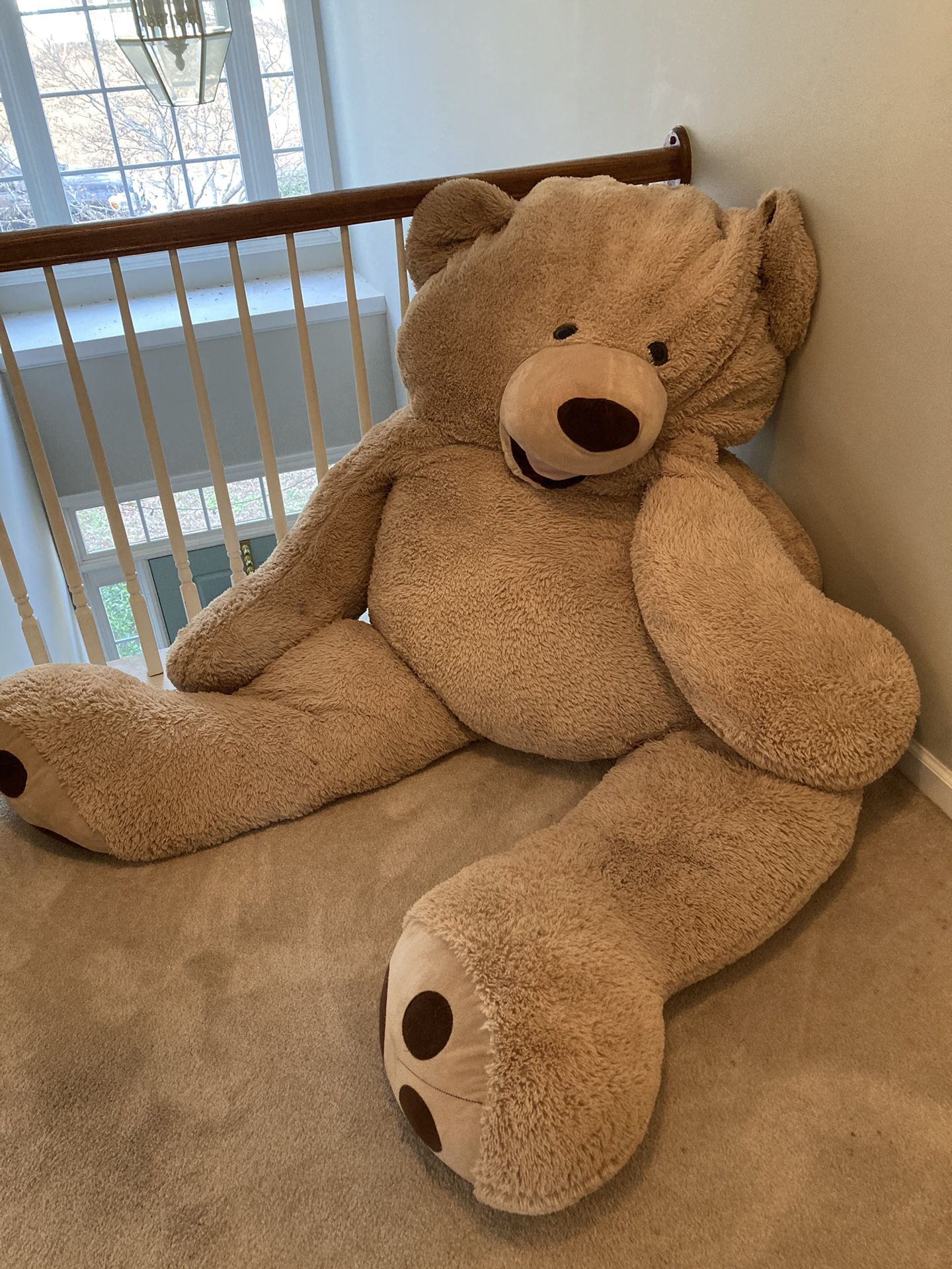 6’ Teddy Bear