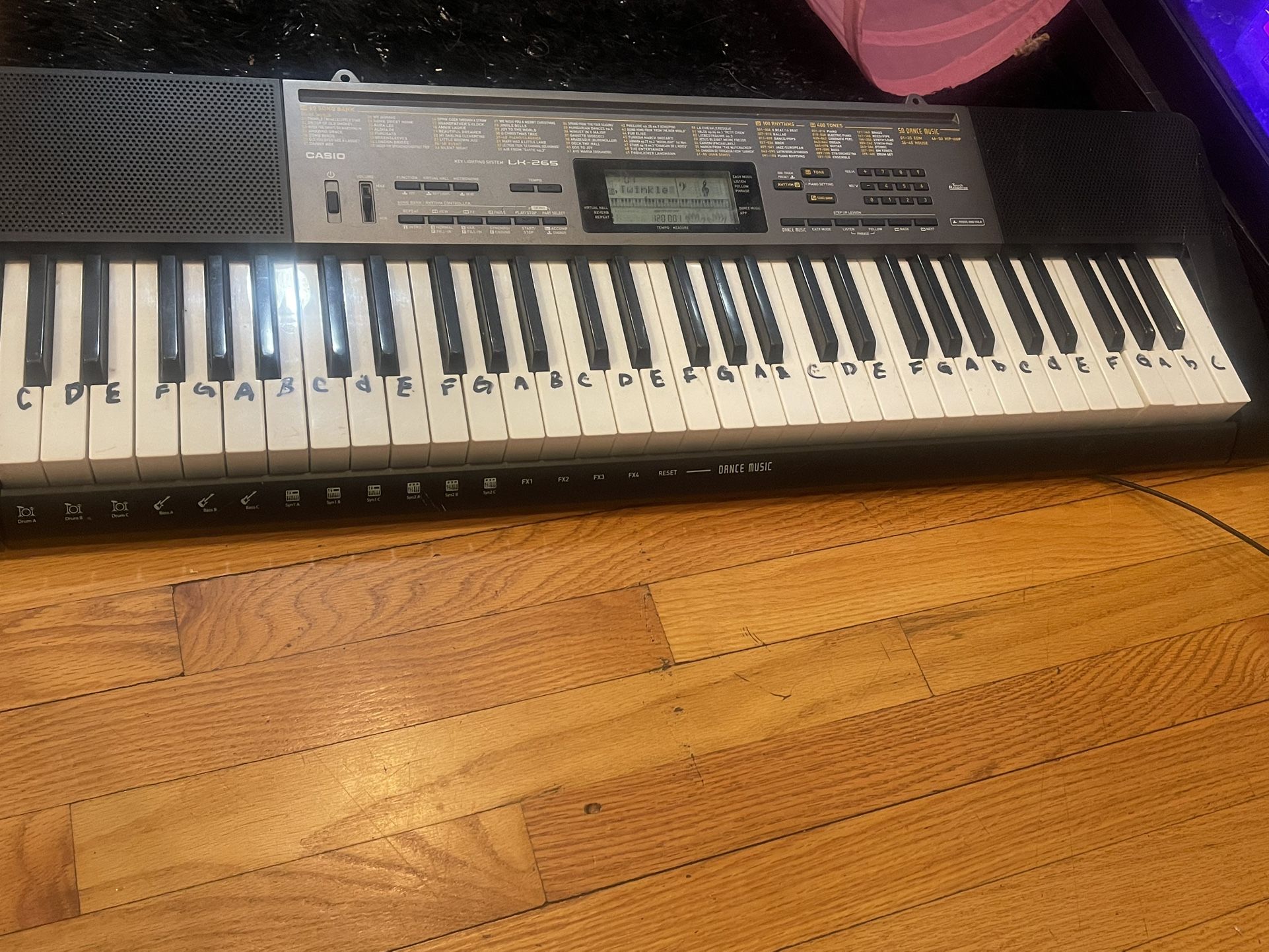 Casio Piano Keyboard