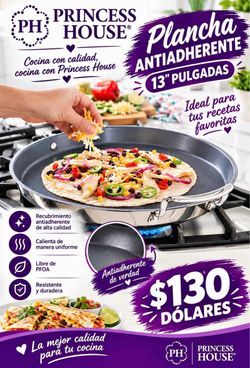 PLANCHA DE 13” DE PRINCESS HOUSE 🌺🌺🌺